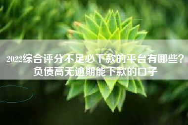 2022综合评分不足必下款的平台有哪些？负债高无逾期能下款的口子