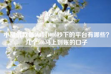 小额借款借500到1000秒下的平台有哪些？几个500马上到账的口子