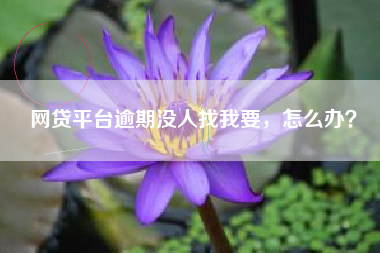 网贷平台逾期没人找我要，怎么办？