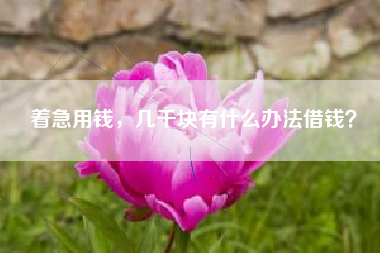 着急用钱，几千块有什么办法借钱？