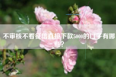 不审核不看征信直接下款5000的口子有哪些？