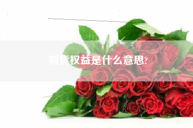 期货权益是什么意思?
