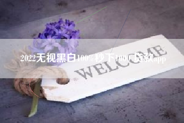 2022无视黑白100%秒下1000 贷款app