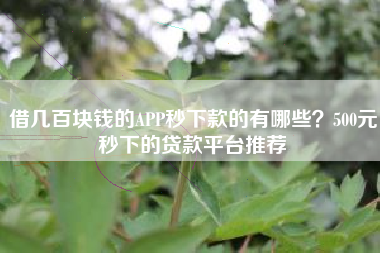 借几百块钱的APP秒下款的有哪些？500元秒下的贷款平台推荐