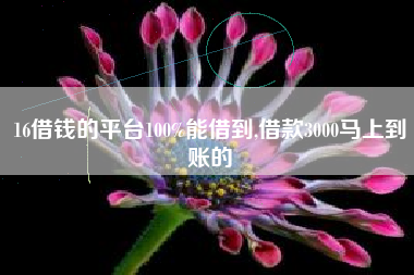 16借钱的平台100%能借到,借款3000马上到账的