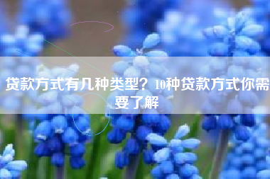 贷款方式有几种类型？10种贷款方式你需要了解