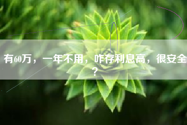 有60万，一年不用，咋存利息高，很安全？