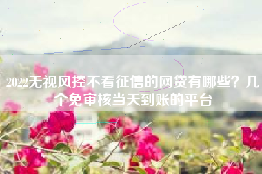 2022无视风控不看征信的网贷有哪些？几个免审核当天到账的平台