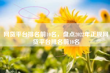 网贷平台排名前10名，盘点2022年正规网贷平台排名前10名