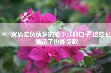 2021资质差负债多的能下款的口子 这些征信花了也能贷款