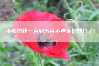 小额借钱一百到五百不查征信的口子?