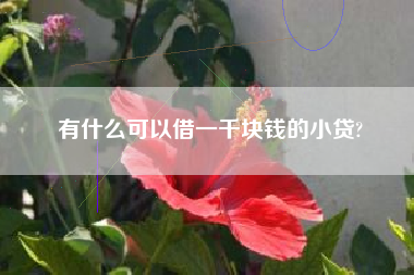 有什么可以借一千块钱的小贷?