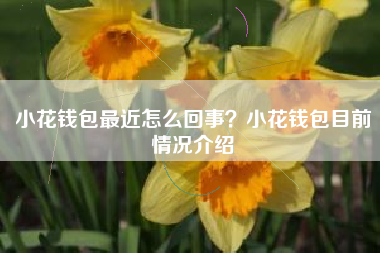 小花钱包最近怎么回事？小花钱包目前情况介绍