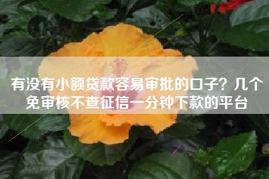 有没有小额贷款容易审批的口子？几个免审核不查征信一分钟下款的平台