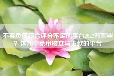 不看负债综合评分不足的平台2022有哪些？这几个免审核立马下款的平台