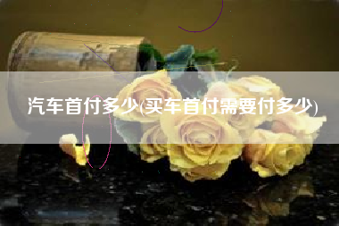汽车首付多少(买车首付需要付多少)