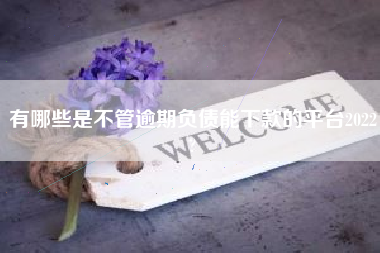 有哪些是不管逾期负债能下款的平台2022?