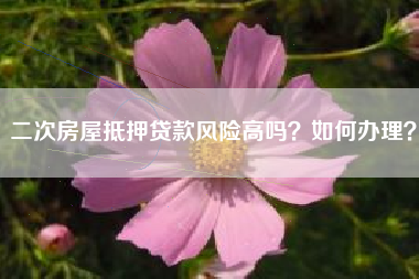 二次房屋抵押贷款风险高吗？如何办理？