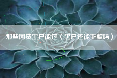 那些网贷黑户能过（黑户还能下款吗）