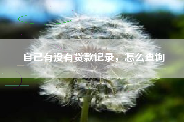 自己有没有贷款记录，怎么查询