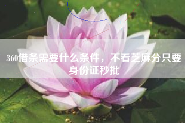 360借条需要什么条件，不看芝麻分只要身份证秒批