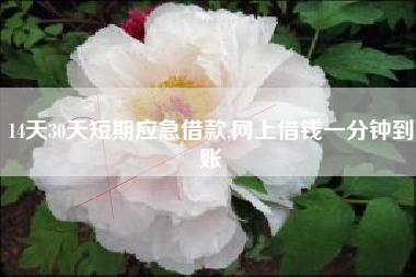 14天30天短期应急借款,网上借钱一分钟到账