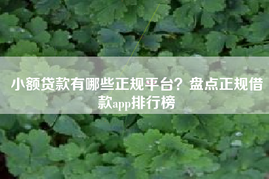 小额贷款有哪些正规平台？盘点正规借款app排行榜