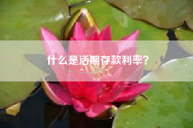 什么是活期存款利率？