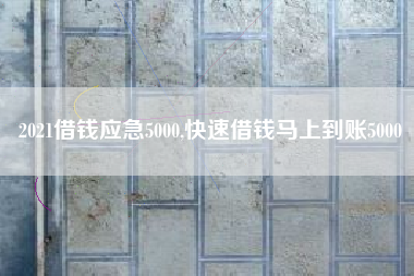 2021借钱应急5000,快速借钱马上到账5000