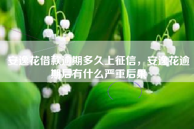 安逸花借款逾期多久上征信，安逸花逾期后有什么严重后果