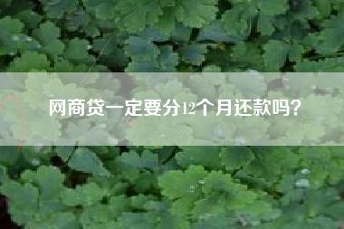 网商贷一定要分12个月还款吗？