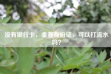 没有银行卡，拿着身份证，可以打流水吗？