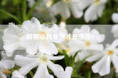 股票涨到多少才是涨停?
