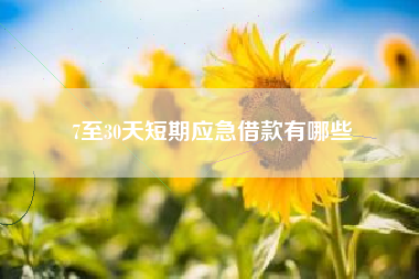 7至30天短期应急借款有哪些