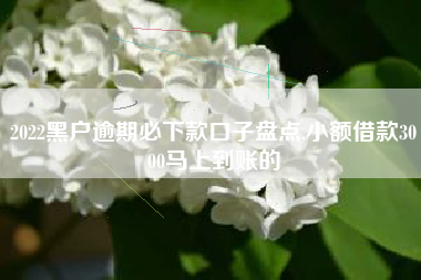 2022黑户逾期必下款口子盘点,小额借款3000马上到账的