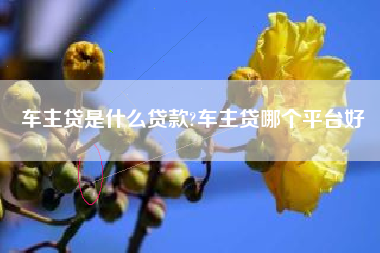 车主贷是什么贷款?车主贷哪个平台好