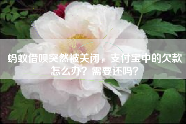 蚂蚁借呗突然被关闭，支付宝中的欠款怎么办？需要还吗？