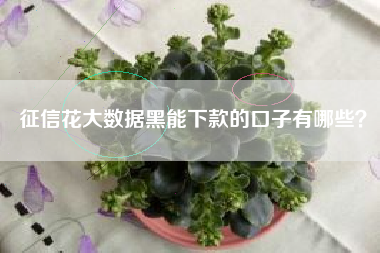 征信花大数据黑能下款的口子有哪些？