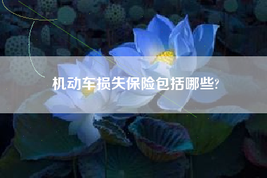 机动车损失保险包括哪些?