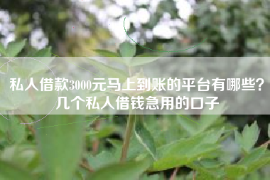 私人借款3000元马上到账的平台有哪些？几个私人借钱急用的口子