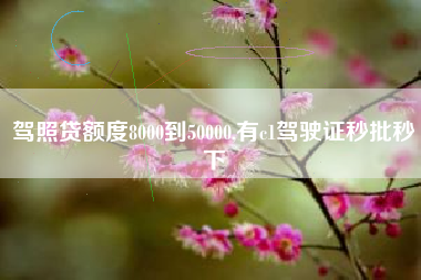 驾照贷额度8000到50000,有c1驾驶证秒批秒下
