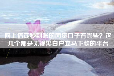 网上借钱秒到账的网贷口子有哪些？这几个都是无视黑白户立马下款的平台