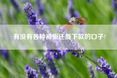 有没有各种被拒还能下款的口子?