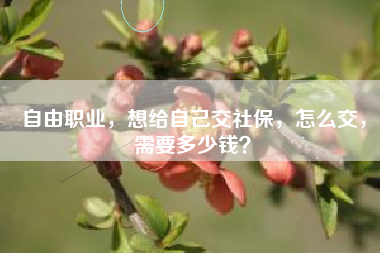 自由职业，想给自己交社保，怎么交，需要多少钱？