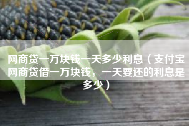 网商贷一万块钱一天多少利息（支付宝网商贷借一万块钱，一天要还的利息是多少）
