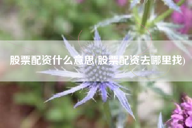 股票配资什么意思(股票配资去哪里找)