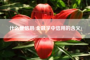什么是信用(金融学中信用的含义)