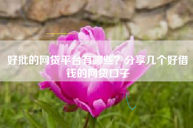 好批的网贷平台有哪些？分享几个好借钱的网贷口子