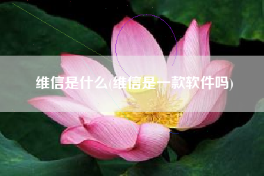 维信是什么(维信是一款软件吗)