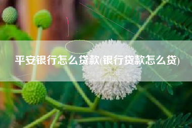 平安银行怎么贷款(银行贷款怎么贷)